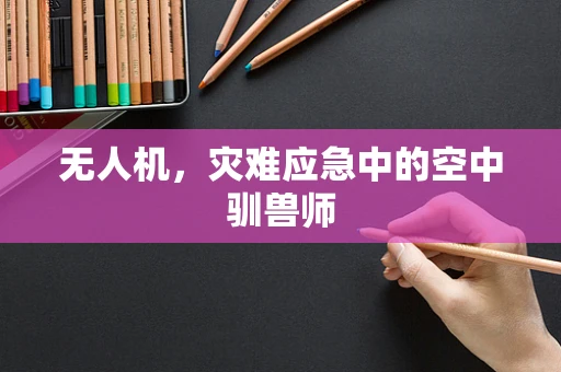 无人机，灾难应急中的空中驯兽师