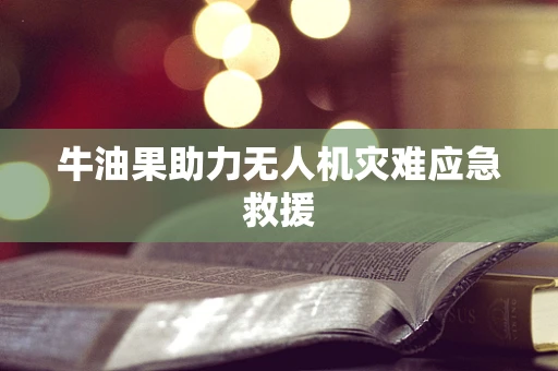 牛油果助力无人机灾难应急救援
