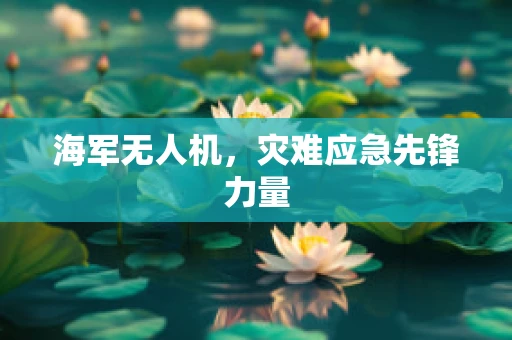 海军无人机，灾难应急先锋力量