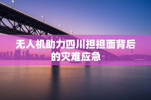 无人机助力四川担担面背后的灾难应急