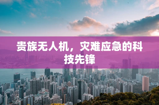 贵族无人机，灾难应急的科技先锋