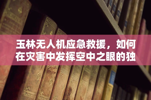 玉林无人机应急救援，如何在灾害中发挥空中之眼的独特作用？