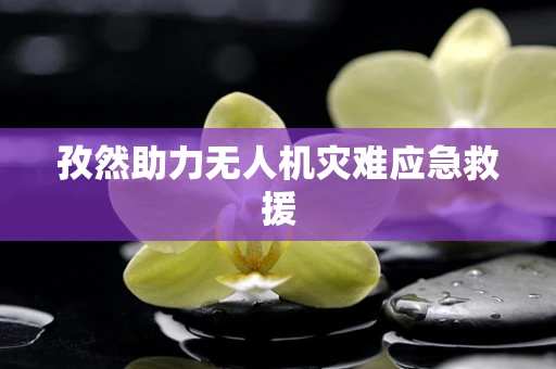 孜然助力无人机灾难应急救援