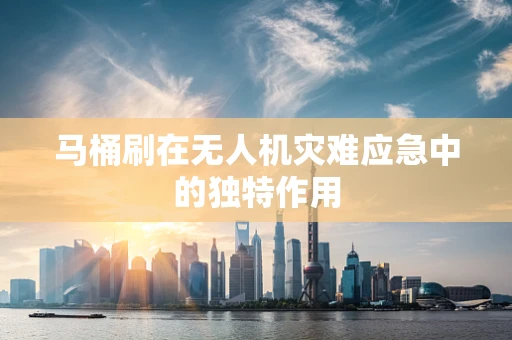 马桶刷在无人机灾难应急中的独特作用