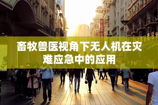 畜牧兽医视角下无人机在灾难应急中的应用