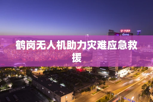 鹤岗无人机助力灾难应急救援