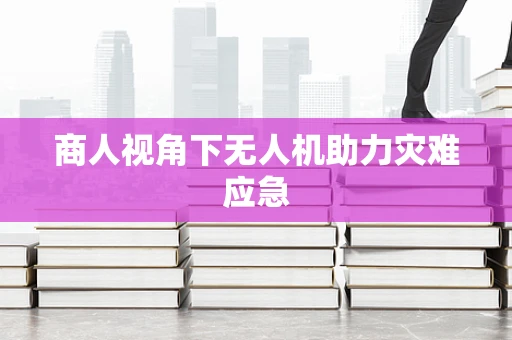商人视角下无人机助力灾难应急