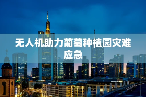 无人机助力葡萄种植园灾难应急