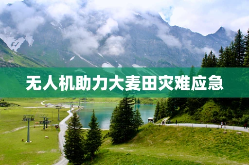 无人机助力大麦田灾难应急