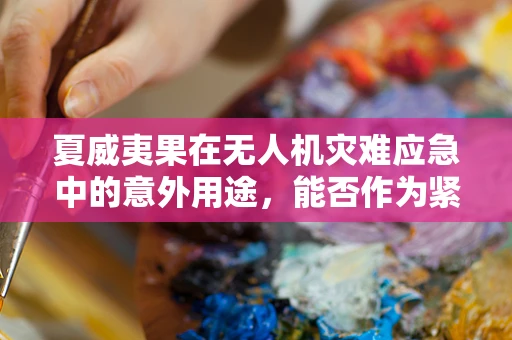 夏威夷果在无人机灾难应急中的意外用途，能否作为紧急物资的标记物？