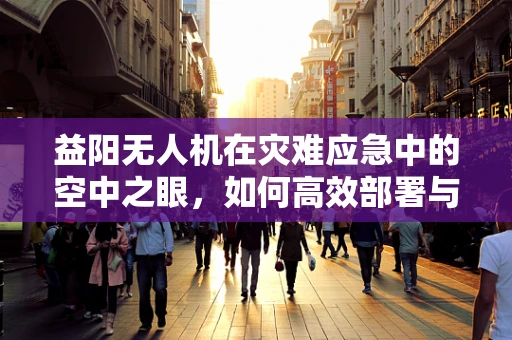 益阳无人机在灾难应急中的空中之眼，如何高效部署与挑战并存？