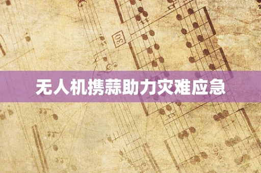 无人机携蒜助力灾难应急