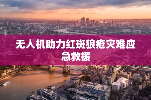 无人机助力红斑狼疮灾难应急救援