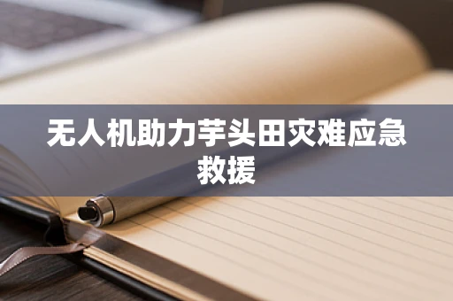 无人机助力芋头田灾难应急救援