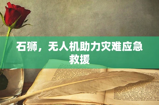 石狮，无人机助力灾难应急救援