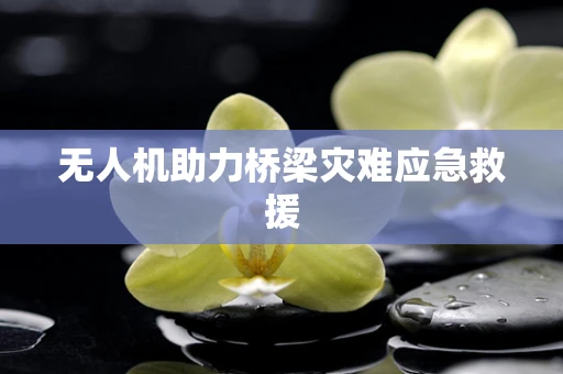 无人机助力桥梁灾难应急救援