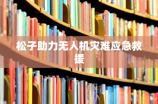 松子助力无人机灾难应急救援