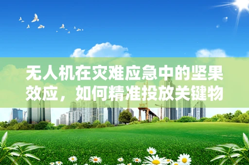 无人机在灾难应急中的坚果效应，如何精准投放关键物资？