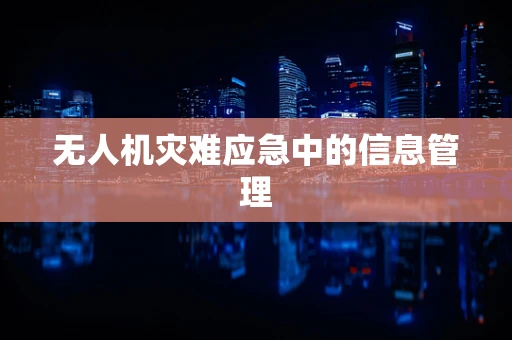 无人机灾难应急中的信息管理