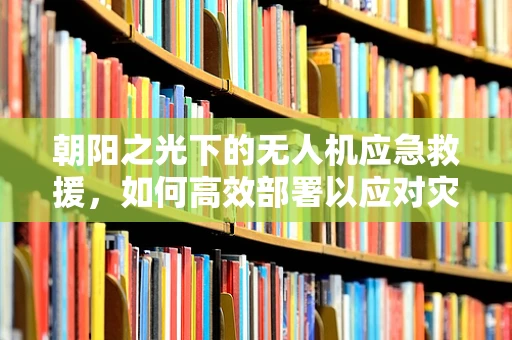 朝阳之光下的无人机应急救援，如何高效部署以应对灾难？