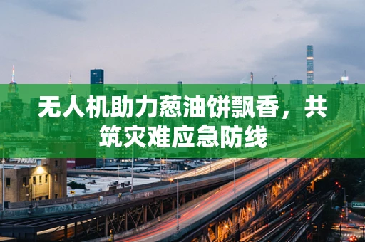 无人机助力葱油饼飘香，共筑灾难应急防线