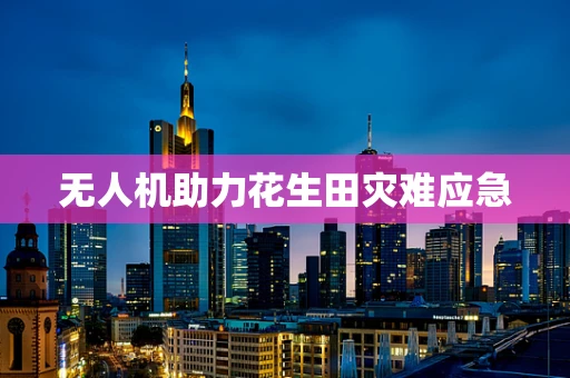 无人机助力花生田灾难应急