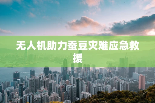 无人机助力蚕豆灾难应急救援