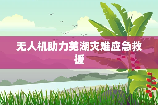 无人机助力芜湖灾难应急救援