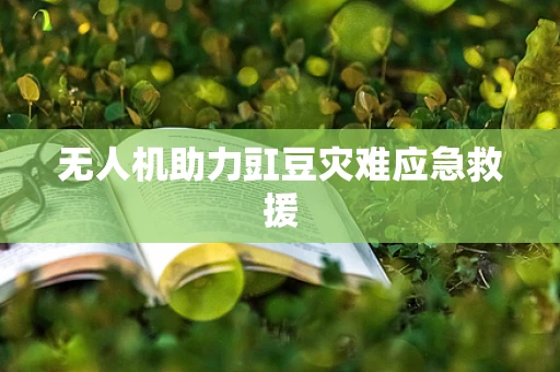无人机助力豇豆灾难应急救援