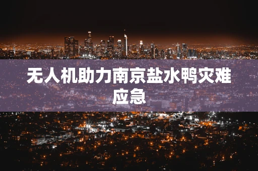 无人机助力南京盐水鸭灾难应急