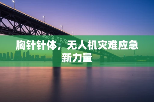 胸针针体，无人机灾难应急新力量
