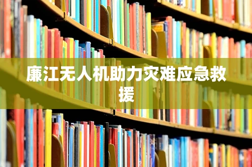廉江无人机助力灾难应急救援