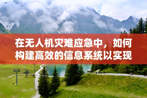 在无人机灾难应急中，如何构建高效的信息系统以实现快速响应？