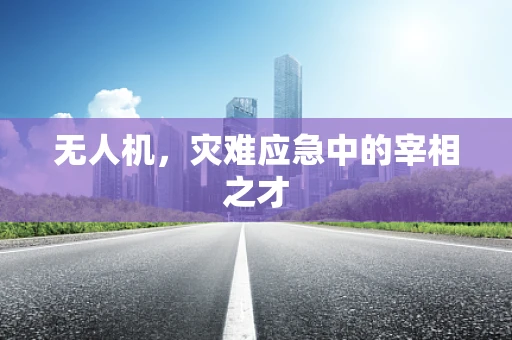 无人机，灾难应急中的宰相之才