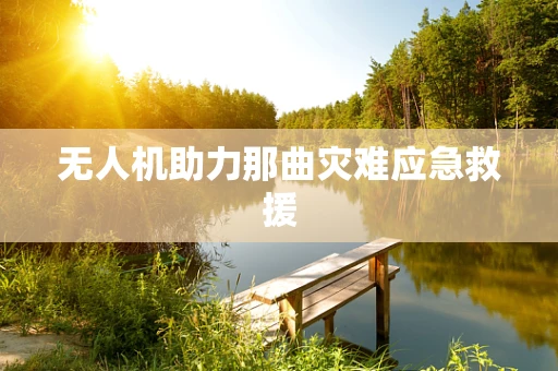 无人机助力那曲灾难应急救援