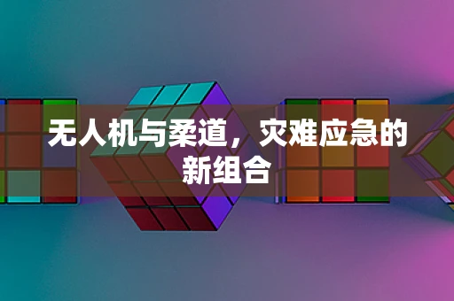 无人机与柔道，灾难应急的新组合