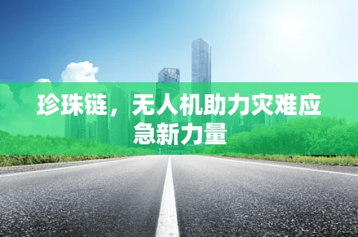 珍珠链，无人机助力灾难应急新力量
