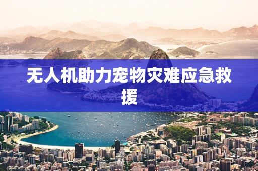 无人机助力宠物灾难应急救援