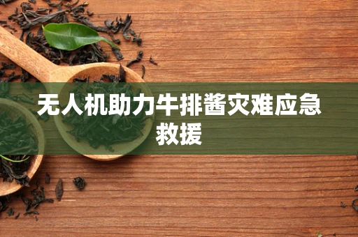 无人机助力牛排酱灾难应急救援
