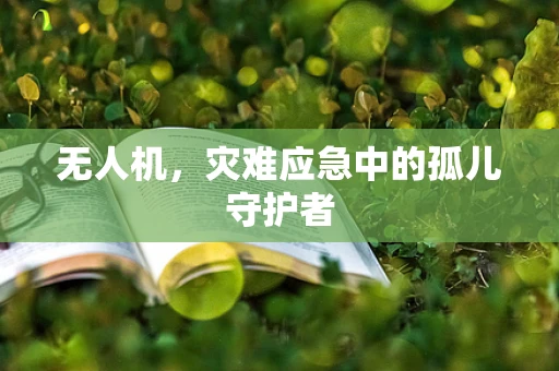 无人机，灾难应急中的孤儿守护者