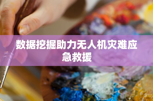 数据挖掘助力无人机灾难应急救援