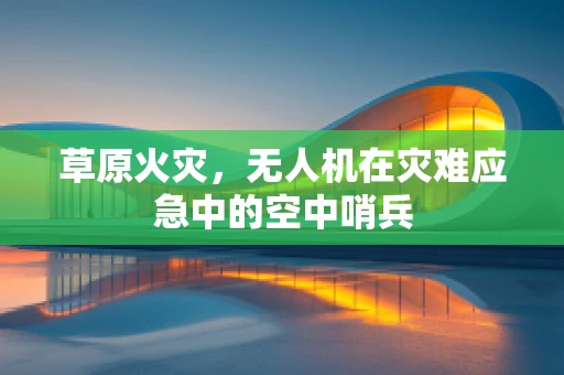 草原火灾，无人机在灾难应急中的空中哨兵