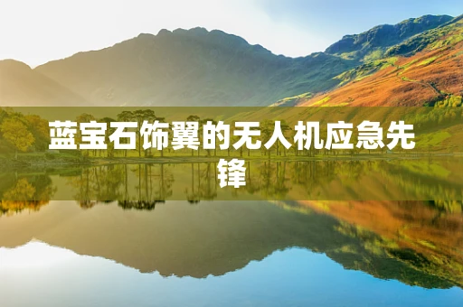 蓝宝石饰翼的无人机应急先锋