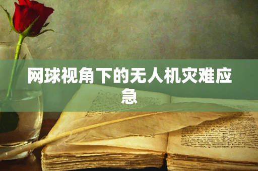 网球视角下的无人机灾难应急