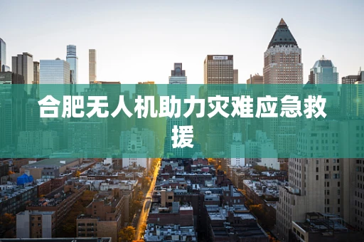 合肥无人机助力灾难应急救援