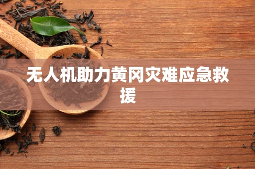无人机助力黄冈灾难应急救援