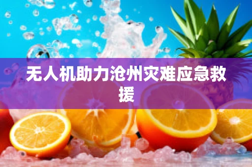 无人机助力沧州灾难应急救援