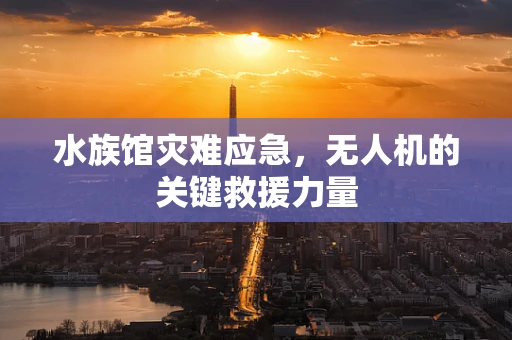 水族馆灾难应急，无人机的关键救援力量