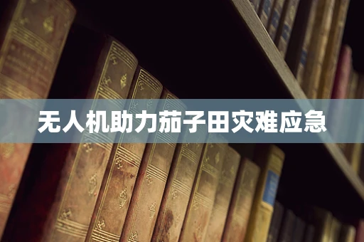 无人机助力茄子田灾难应急