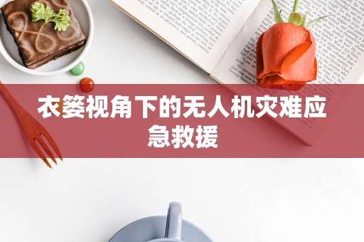 衣篓视角下的无人机灾难应急救援